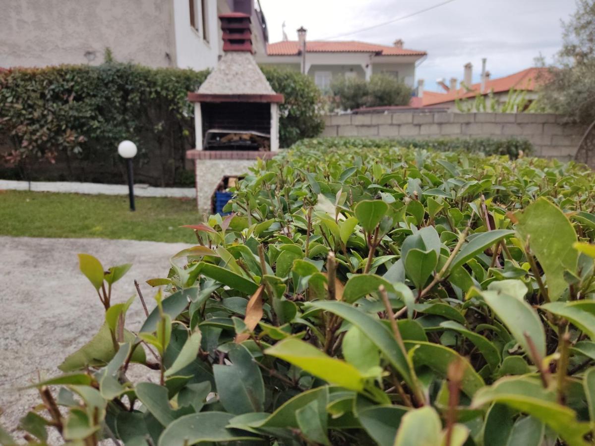 Elina House Villa Nikiti  Buitenkant foto